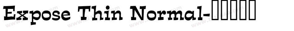 Expose Thin Normal字体转换